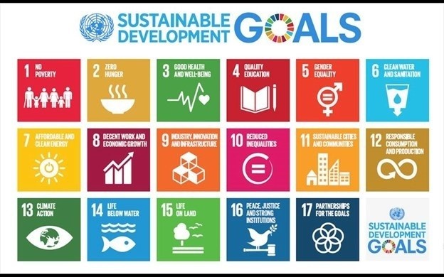 SDG Goals